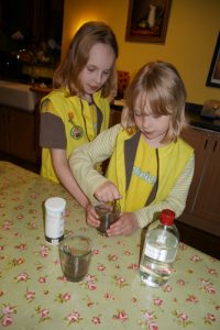 Mixing the bicarb into the soil