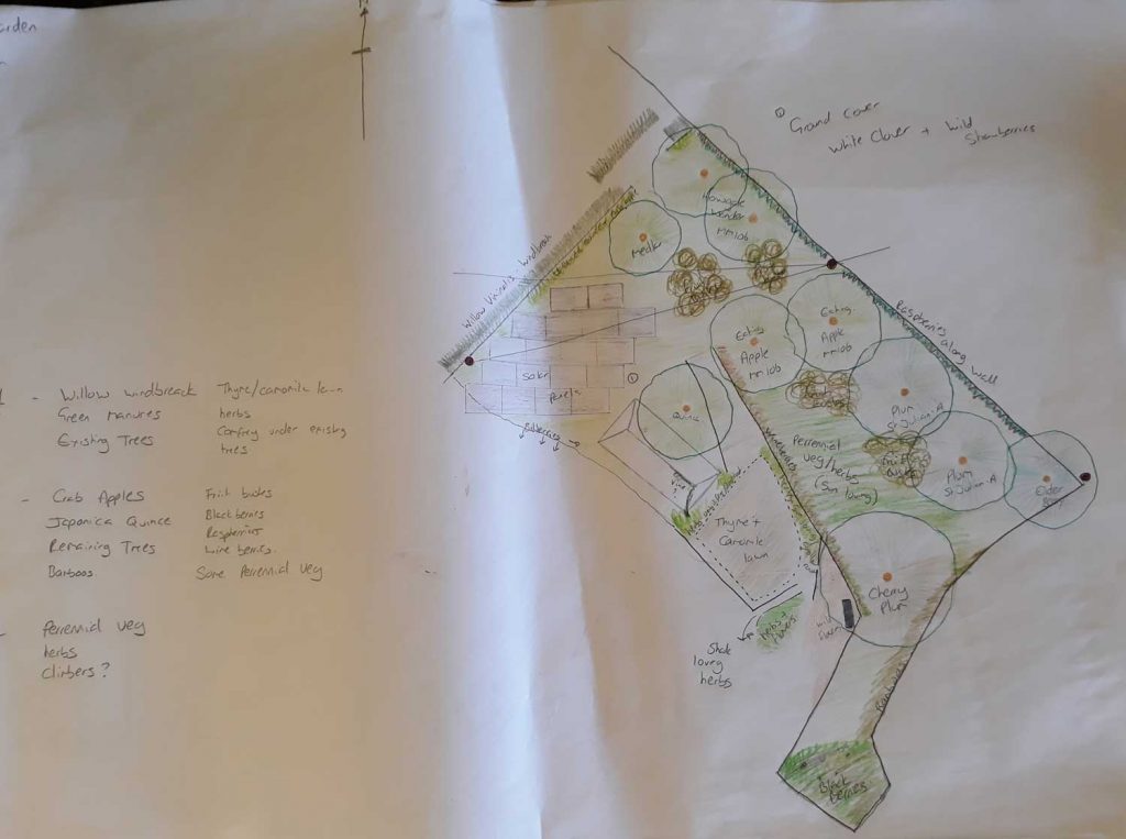 Forest Garden Plan