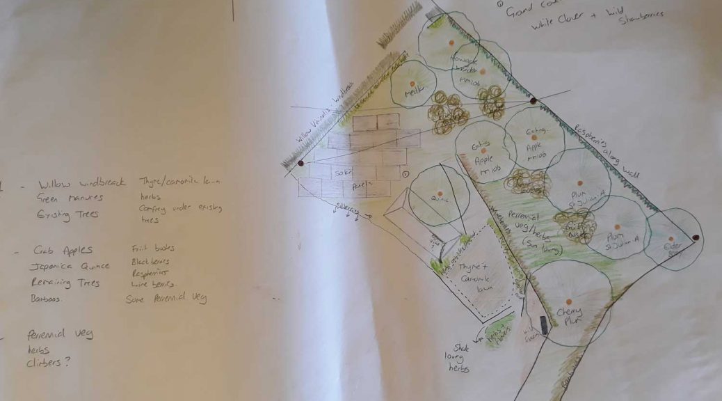 Forest Garden Plan