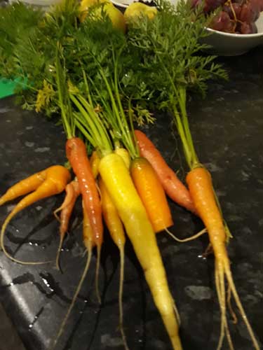 Carrots