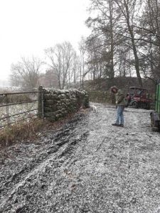 snow at incredible farm