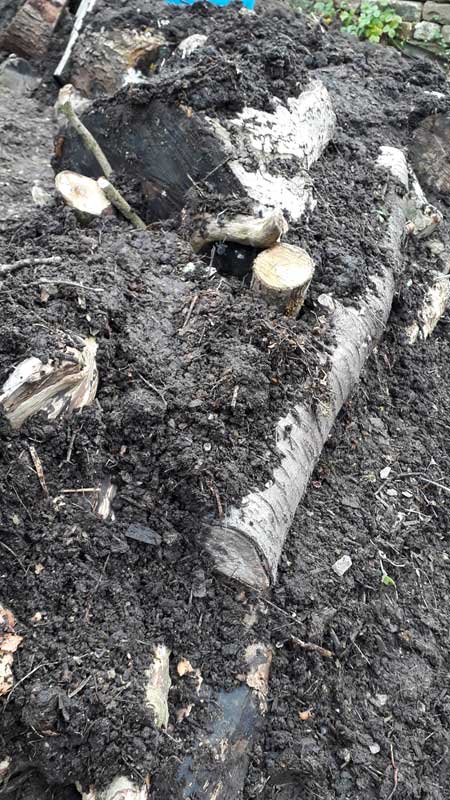 hugel4 hugel compost layer