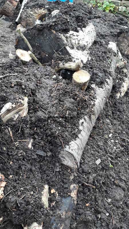 hugel compost layer