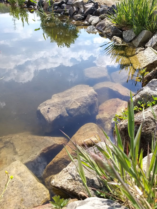 Rocks placed at edge