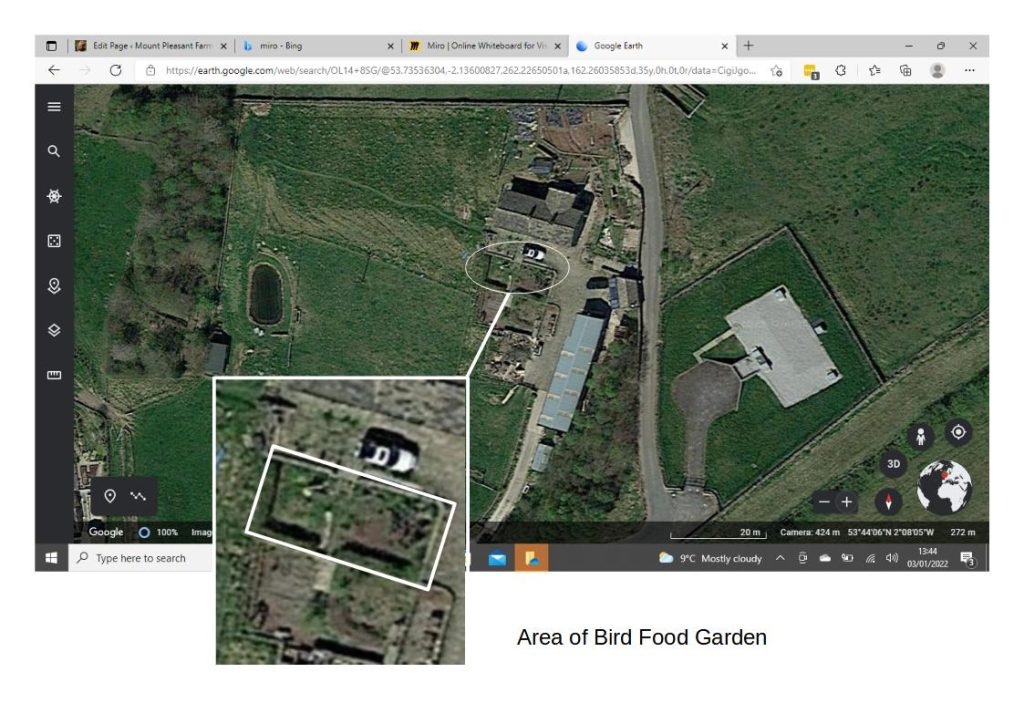 Location of Bird Food Garden