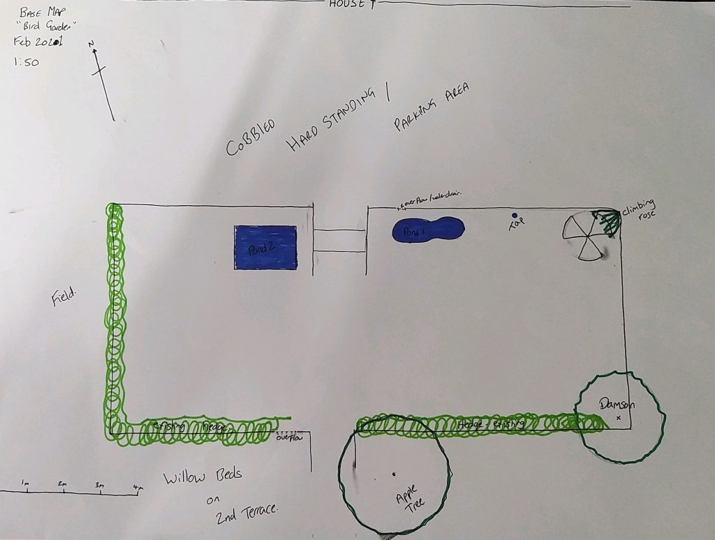 Bird Garden Base Map